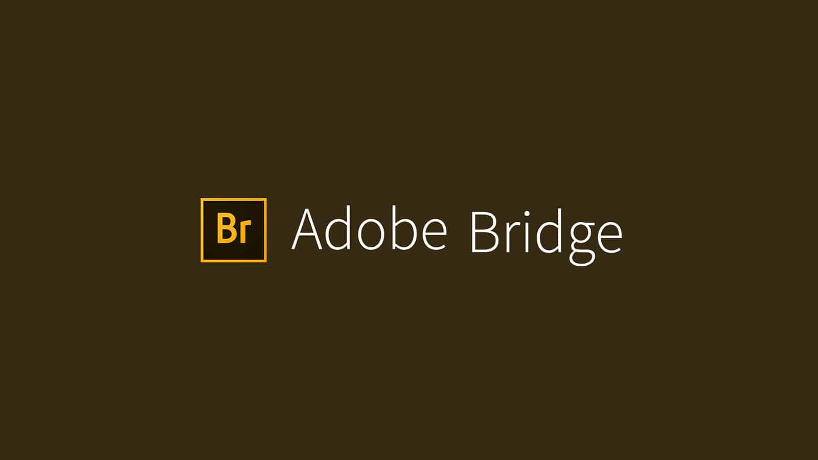 What is Adobe Bridge
