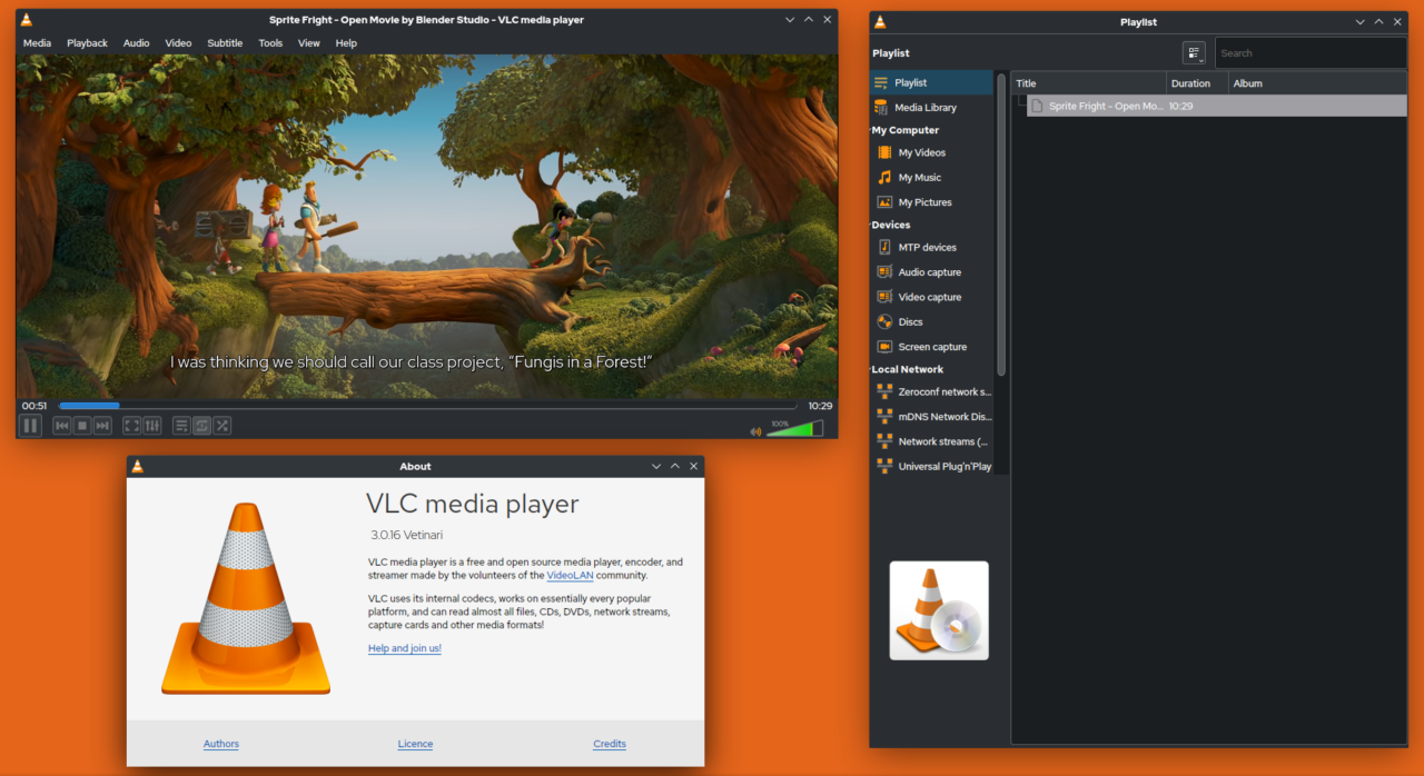 VLC media player interface screenshot 1