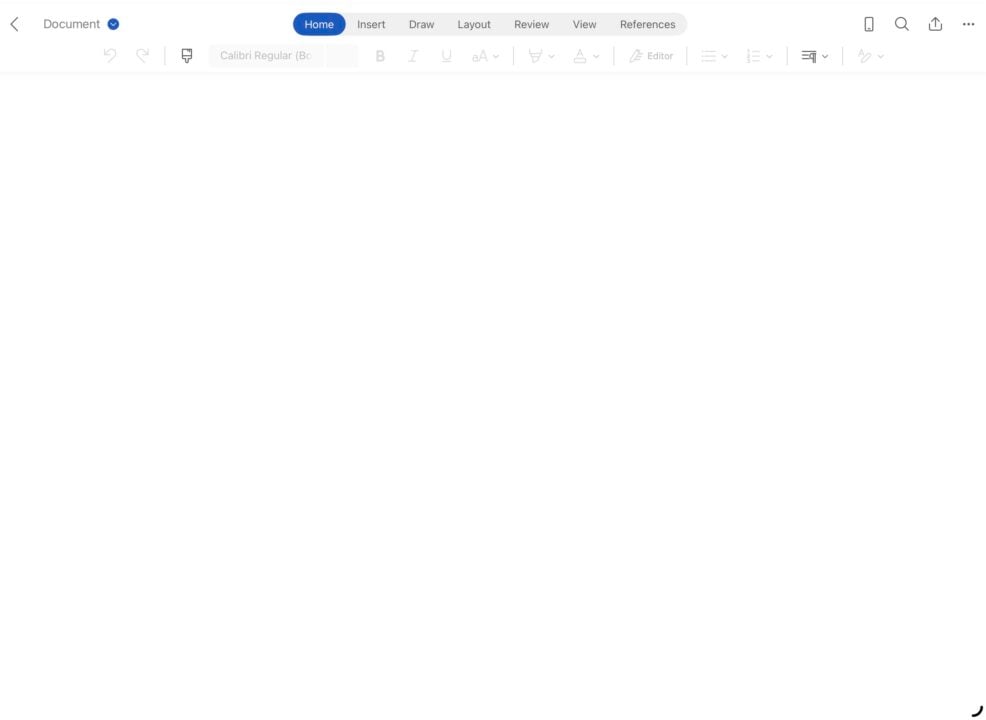 Microsoft Word interface screenshot 1