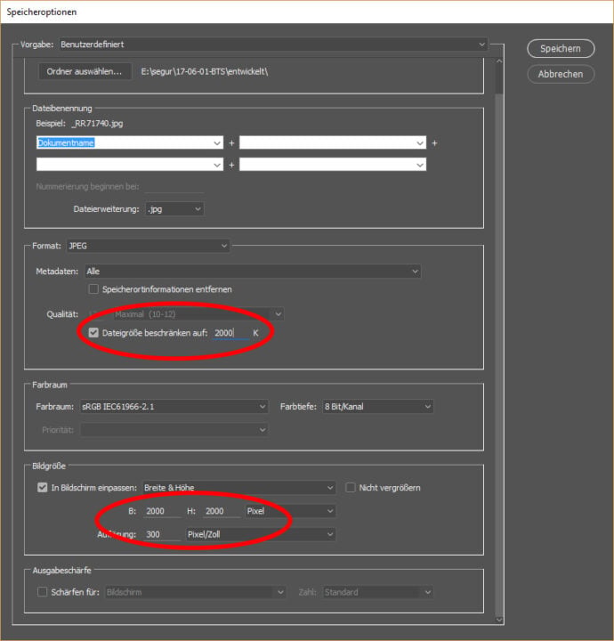 Adobe Camera Raw interface screenshot 1