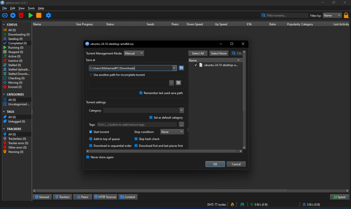 qBittorrent interface screenshot 3