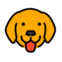 Bruno software icon