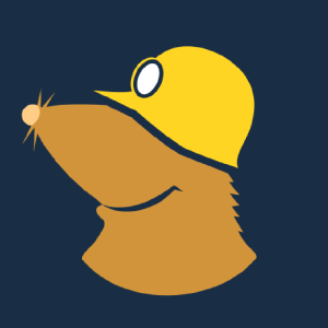 Mullvad Browser